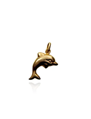 Golfinho