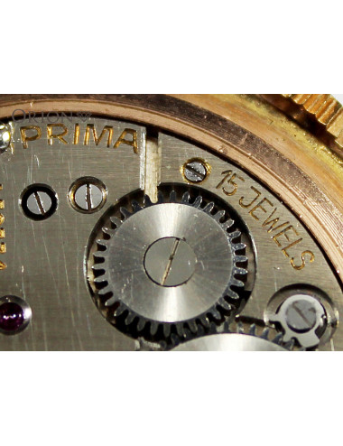 Cauny Prima Star