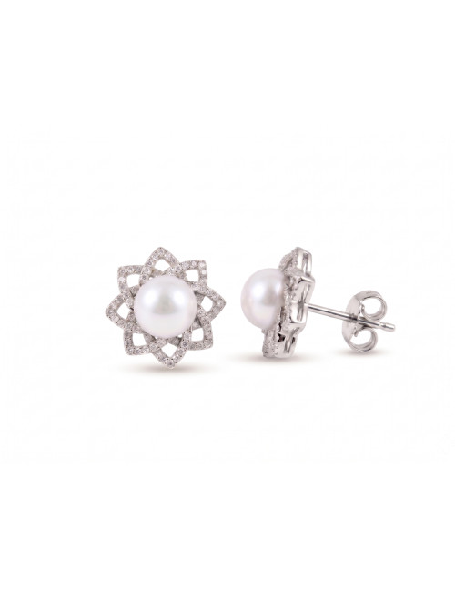 Brincos em Prata